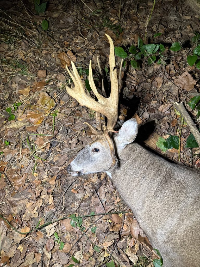 Il a presque sauté la chasse au retour de son fils, puis a tiré avec un Droptine de classe 200