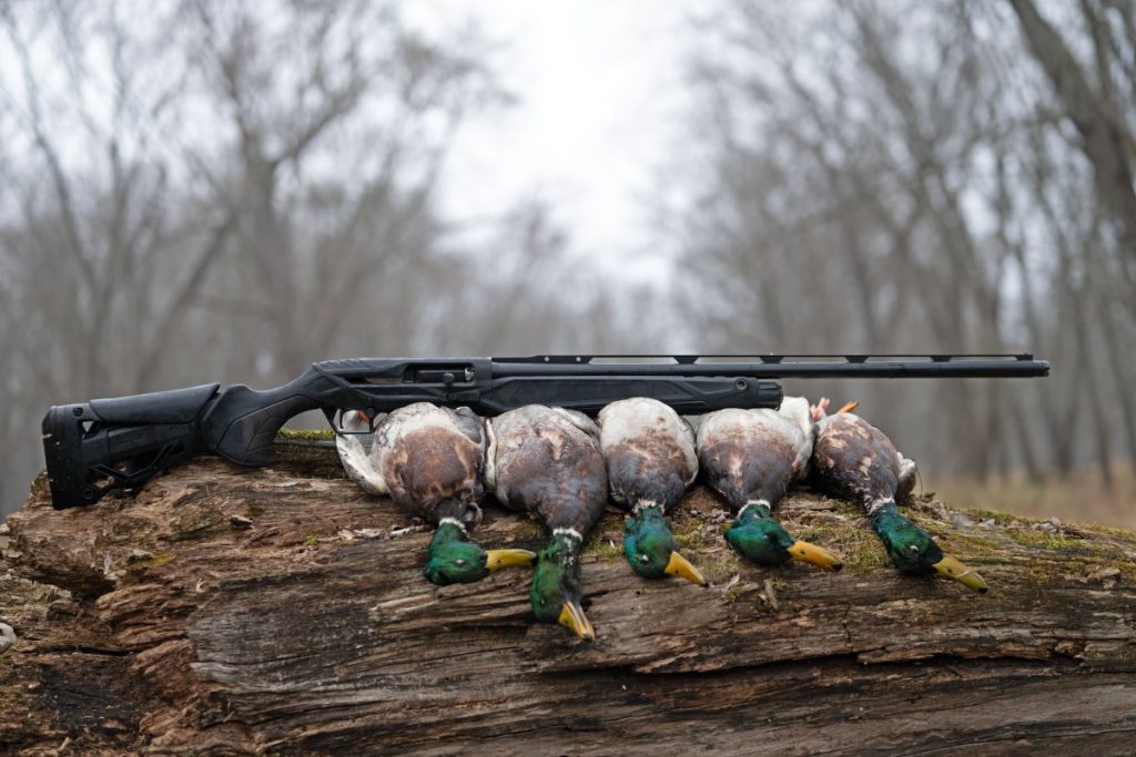 Beretta AX800 Suprema Review : cela pourrait être le semi-automatique ultime pour la chasse au canard