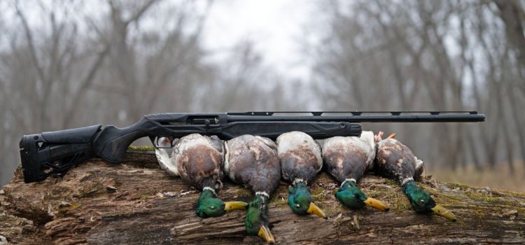 Beretta AX800 Suprema Review : cela pourrait être le semi-automatique ultime pour la chasse au canard
