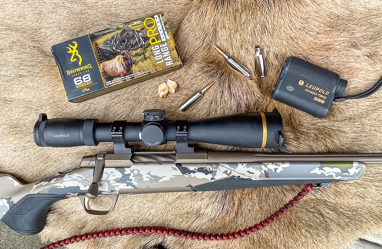 [Titre du site] J'ai abattu le plus gros wapiti Roosevelt de ma vie en voiture