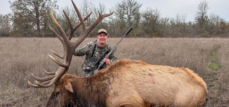 J'ai abattu le plus gros wapiti Roosevelt de ma vie en voiture
