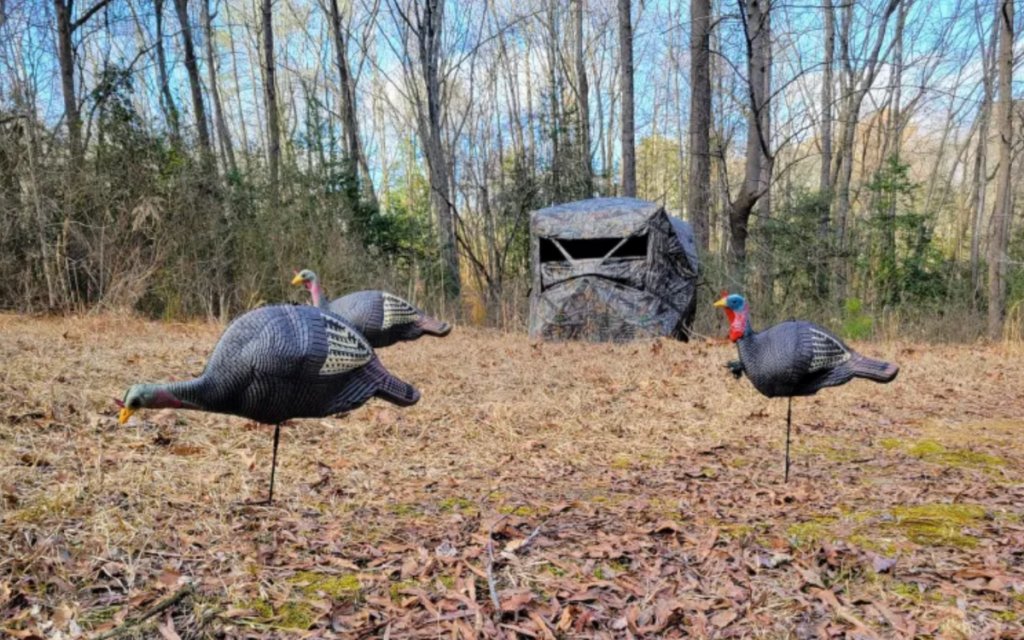 Les 29 meilleures offres du Black Friday sur les miradors, les stores et les bâtons d'escalade