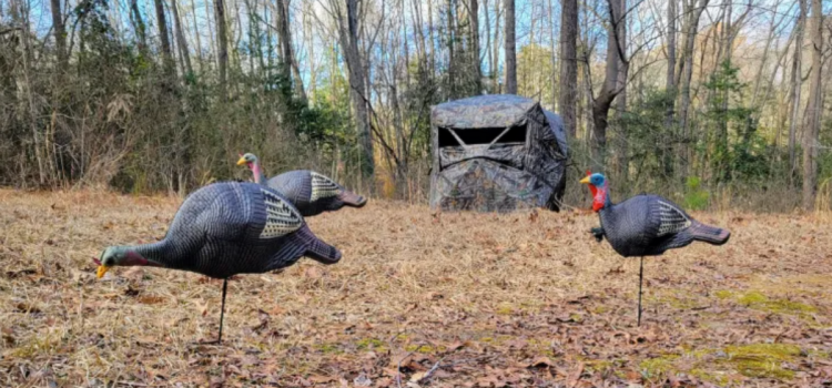 Les 29 meilleures offres du Black Friday sur les miradors, les stores et les bâtons d’escalade Les 29 meilleures offres du Black Friday sur les miradors, les stores et les bâtons d'escalade