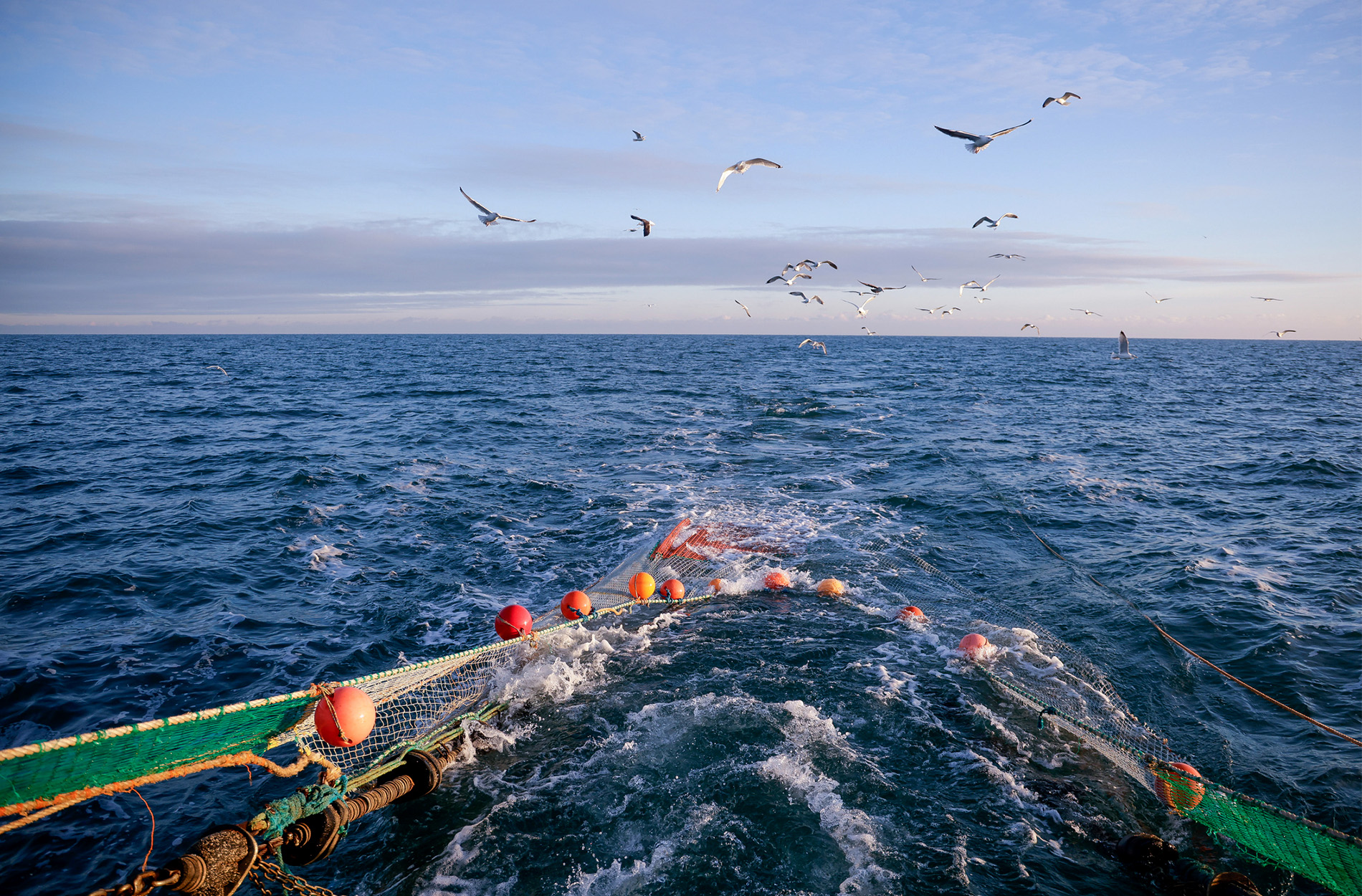 [Titre du site] Cette pratique de pêche commerciale ahurissante vole les pêcheurs de l'Alaska