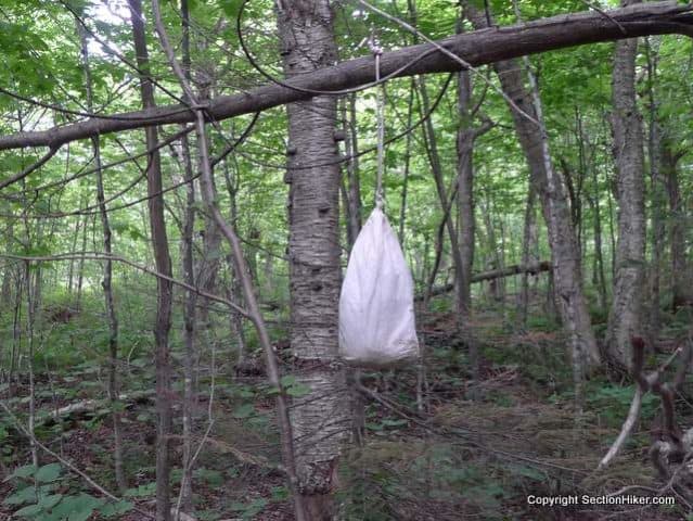 [Titre du site] Comparaison des sacs à ours et des boîtes à ours approuvés par l'IGBC