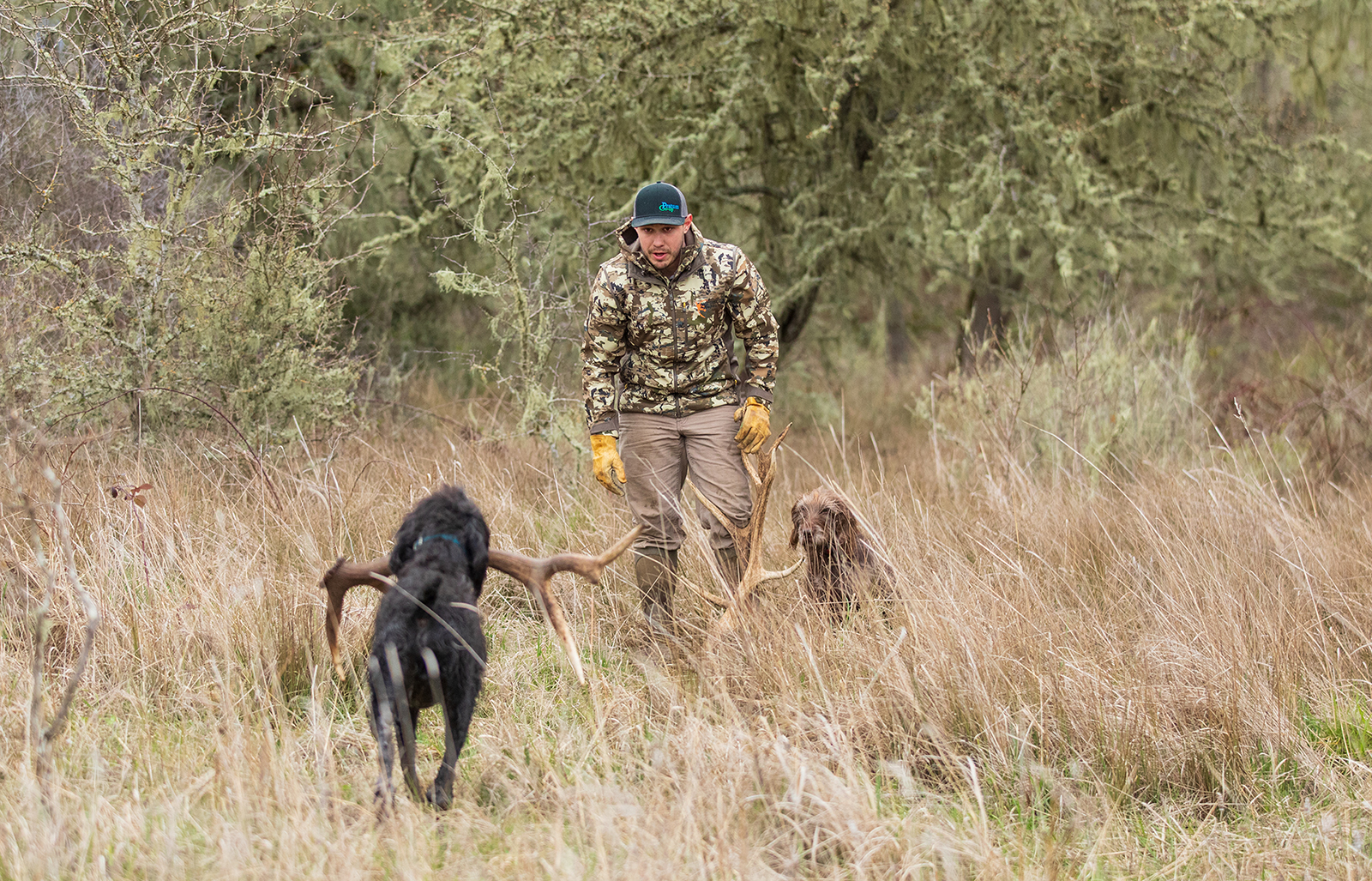 [Titre du site] J'ai abattu le plus gros wapiti Roosevelt de ma vie en voiture
