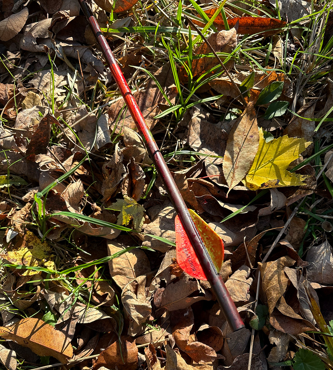 [Titre du site] J'ai traqué un mâle pendant 36 heures pour découvrir qu'un garde-chasse avait déjà pris les bois