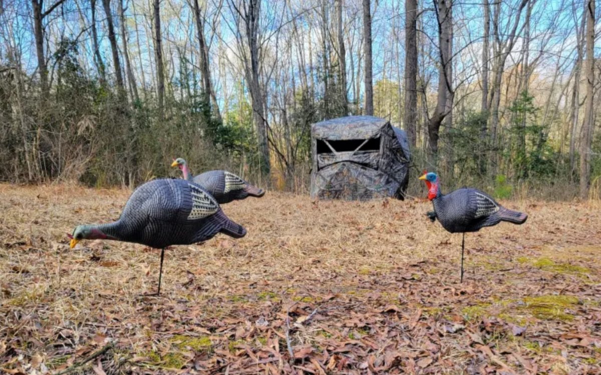 [Titre du site] Les 29 meilleures offres du Black Friday sur les miradors, les stores et les bâtons d'escalade