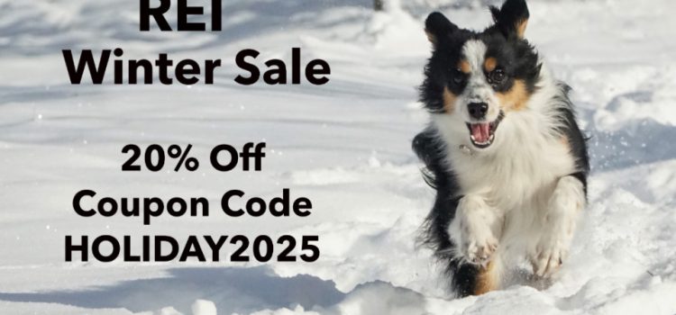 REI Holiday Winter Sale ’25 : meilleures offres de randonnée et de sac à dos SectionHiker.com