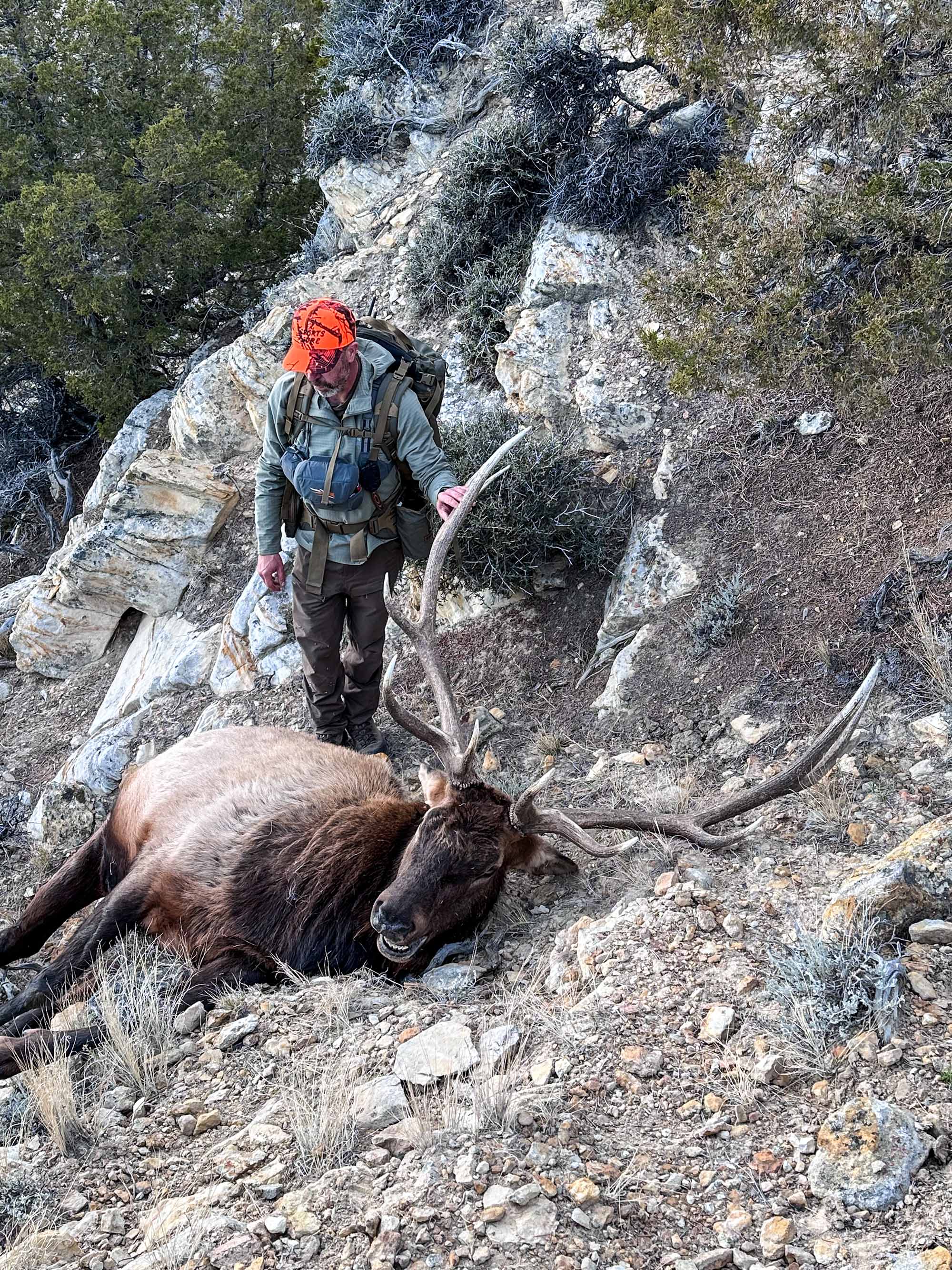 [Titre du site] Regarder : Un propriétaire foncier a volé l'élan des terres publiques de mon copain pour nous dissuader de « chasser cette tenue »