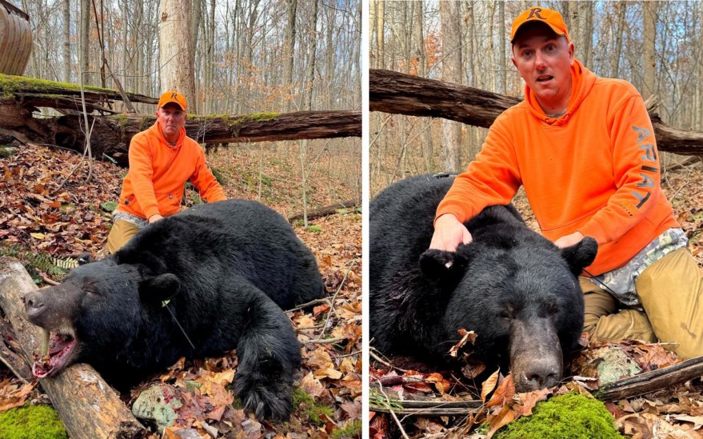 Un chasseur de Pennsylvanie étiquette le plus gros ours noir de la saison avec le fusil porte-bonheur de sa femme