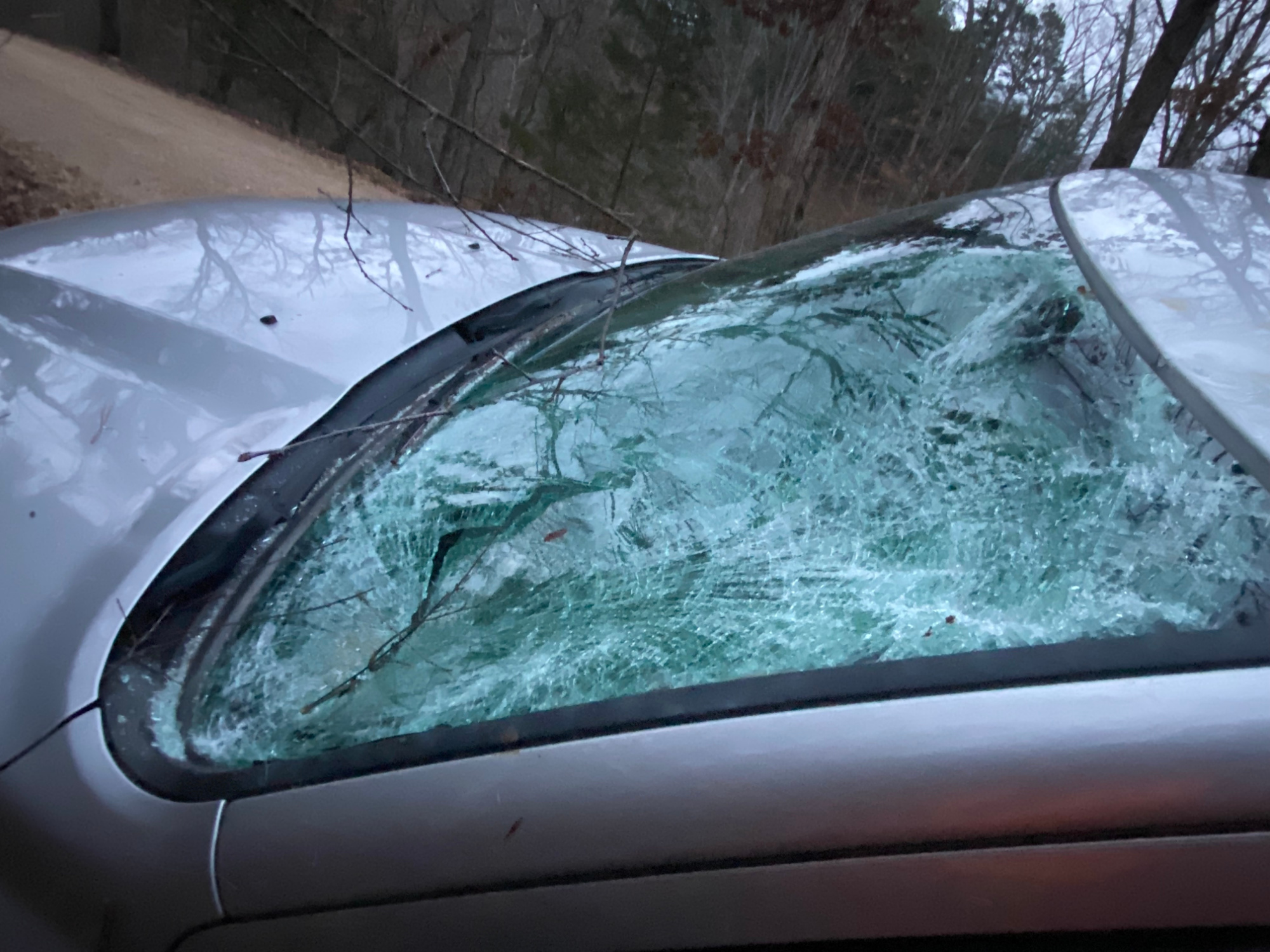 [Titre du site] Après avoir abattu un cerf, celui-ci a bondi sur mon camion et a brisé mon pare-brise