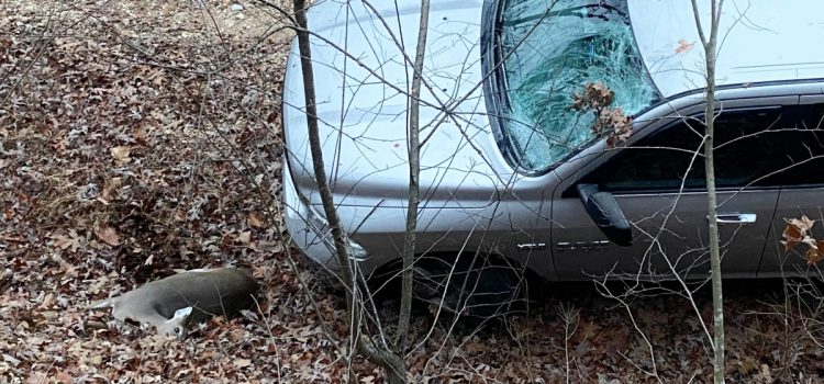 Après avoir abattu un cerf, celui-ci a bondi sur mon camion et a brisé mon pare-brise Après avoir abattu un cerf, celui-ci a bondi sur mon camion et a brisé mon pare-brise