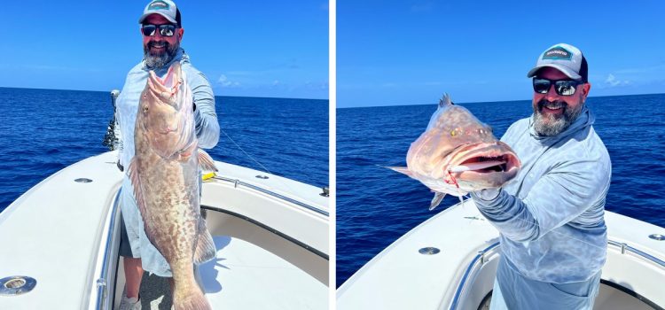 Un pêcheur de Floride attrape un mérou record du monde juste après avoir cassé l’hameçon d’un vivaneau Un pêcheur de Floride attrape un mérou record du monde juste après avoir cassé l'hameçon d'un vivaneau