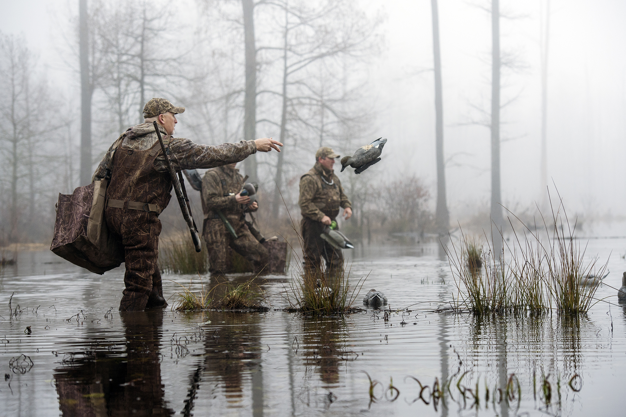 [Titre du site] Les 7 meilleures chasses au canard de fin de saison