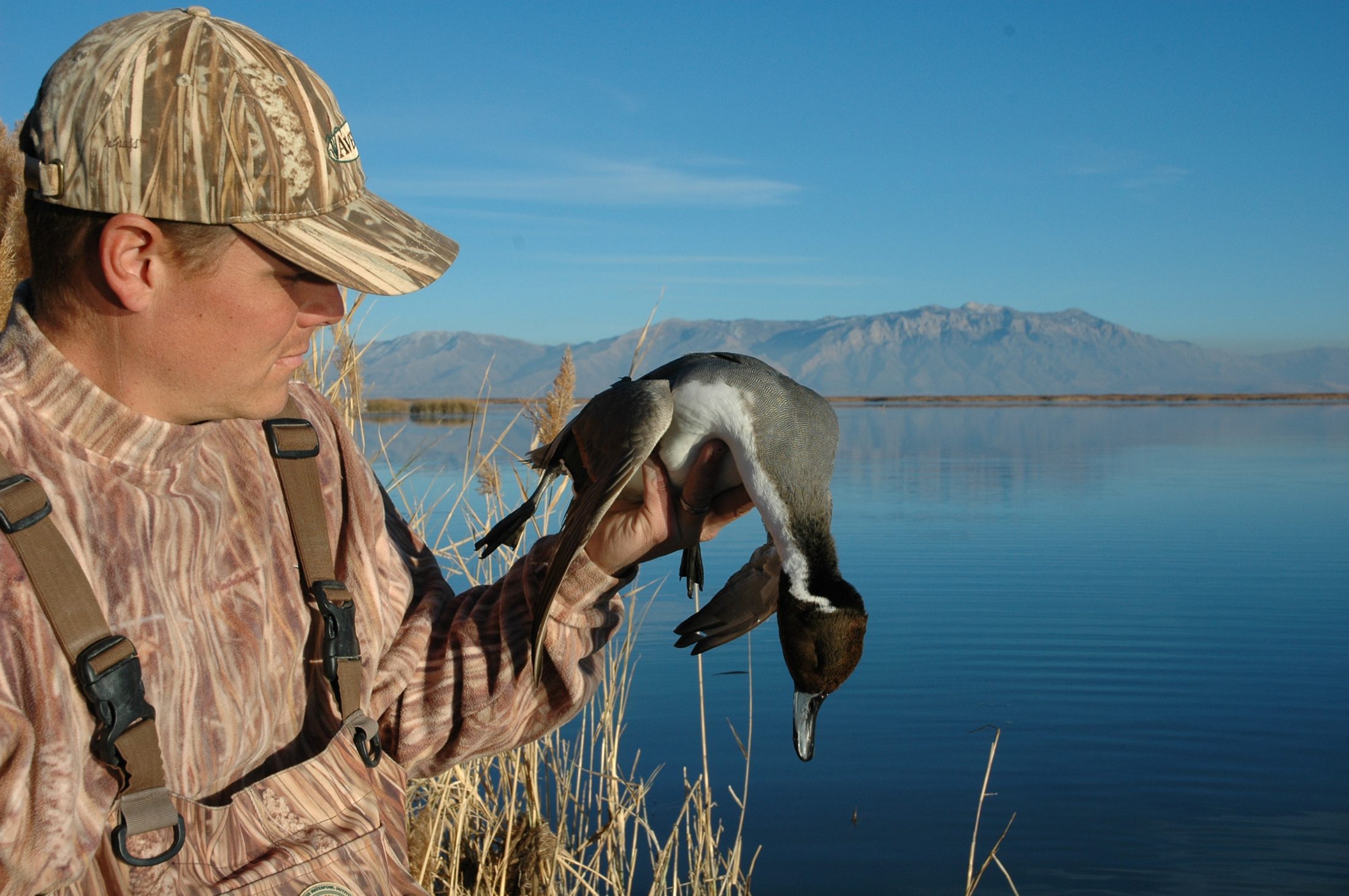 [Titre du site] Les 7 meilleures chasses au canard de fin de saison