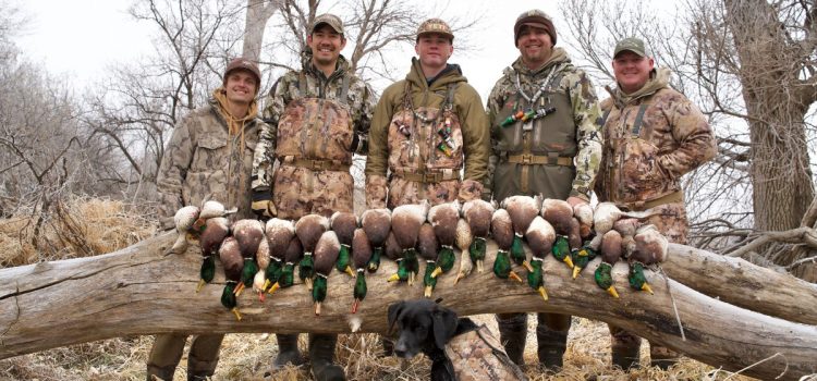 Les 7 meilleures chasses au canard de fin de saison
