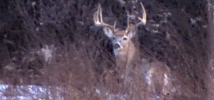 Un chasseur de Pennsylvanie s'est fait voler « l'argent de sa vie ». Alors pourquoi les gens lui reprochent-ils ?
