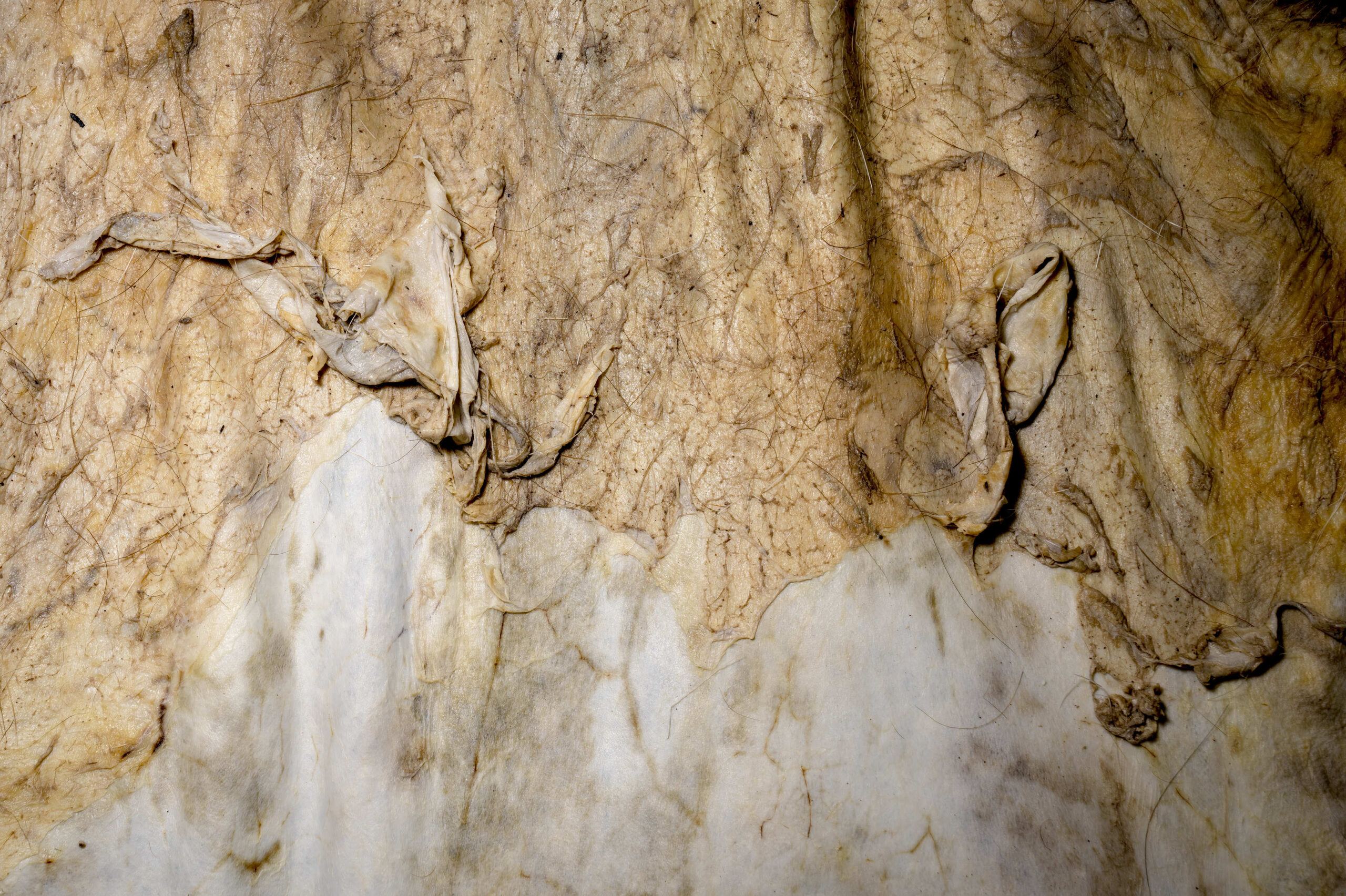 [Titre du site] 24 photos incroyables de la dernière grande tannerie d'Amérique