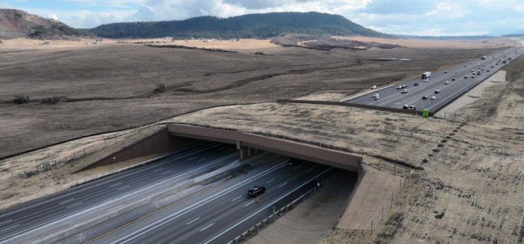 Le plus grand passage faunique en Amérique du Nord vient d'être ouvert aux créatures du Colorado
