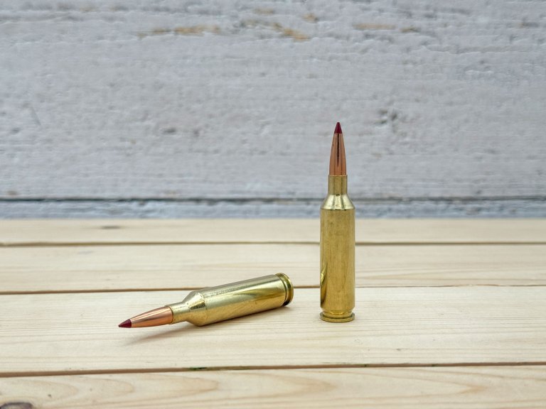 [Titre du site] Meilleurs calibres Coyote | Vie en plein air