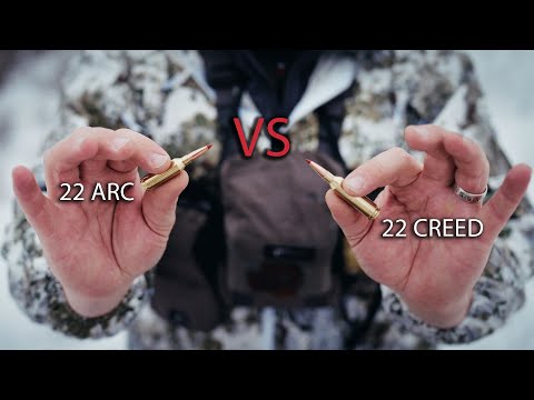 [Titre du site] Meilleurs calibres Coyote | Vie en plein air