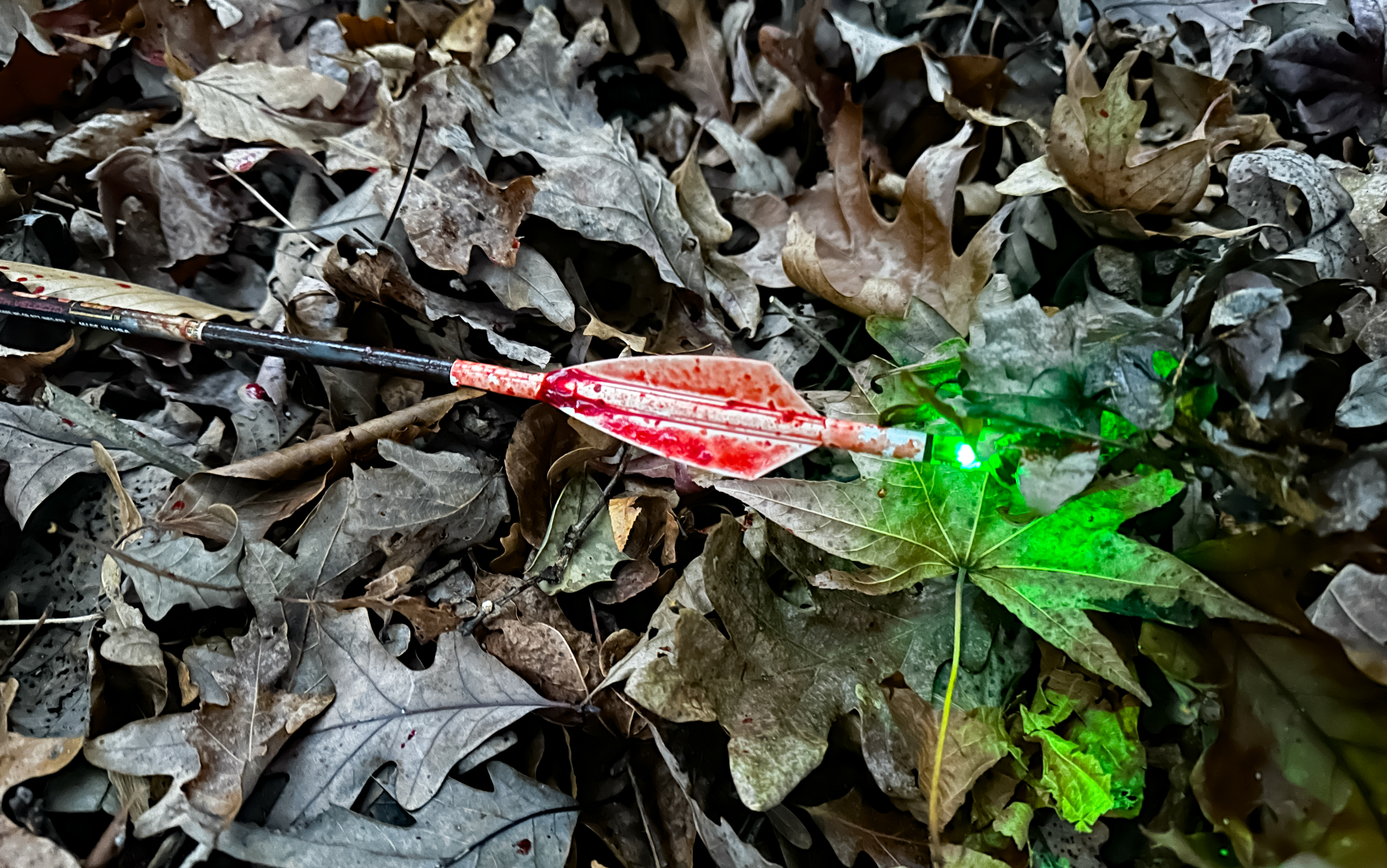 [Titre du site] Voici pourquoi chaque chasseur à l'arc devrait envisager ces encoches éclairées bon marché