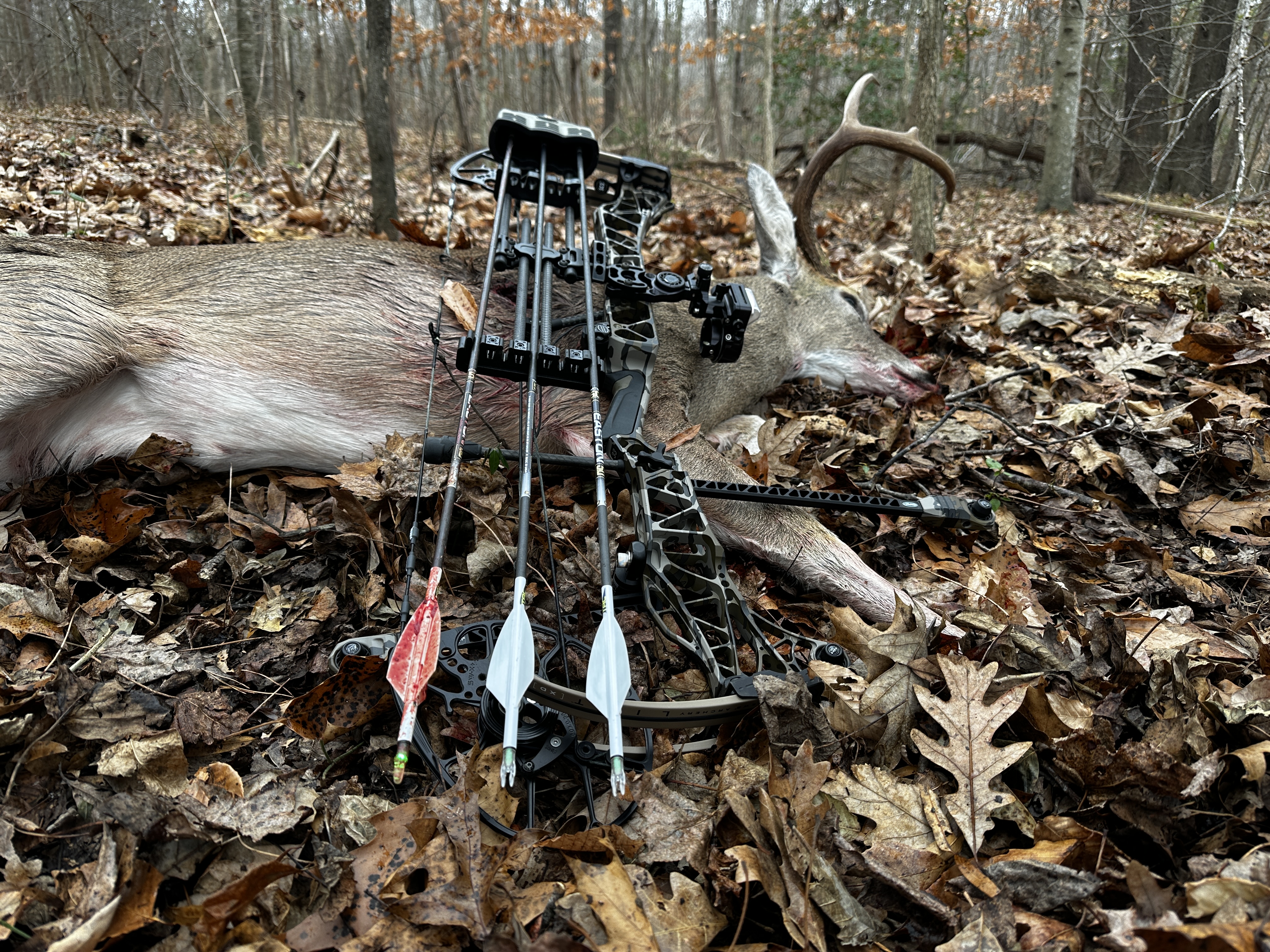 [Titre du site] Voici pourquoi chaque chasseur à l'arc devrait envisager ces encoches éclairées bon marché
