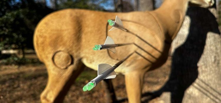 Voici pourquoi chaque chasseur à l’arc devrait envisager ces encoches éclairées bon marché Voici pourquoi chaque chasseur à l'arc devrait envisager ces encoches éclairées bon marché