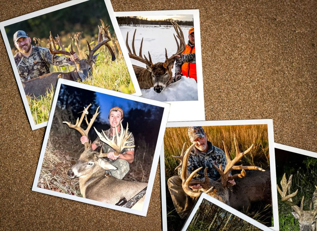 Les plus gros gains de 2025