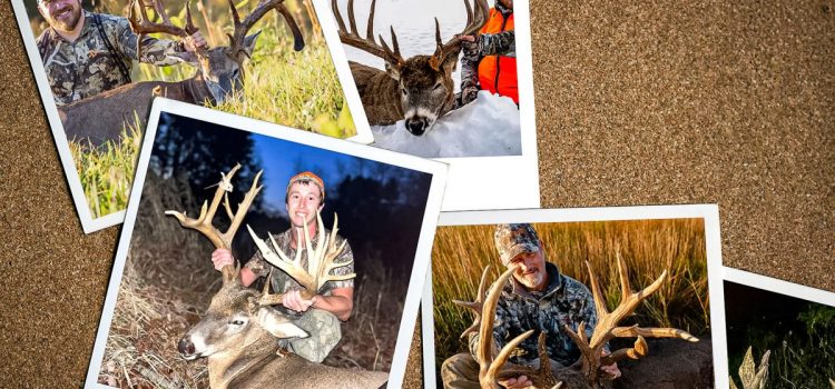 Les plus gros gains de 2025
