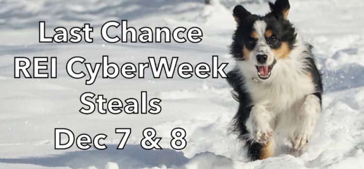 20 meilleurs vols REI Cyberweek : dernière chance les 7 et 8 décembre SectionHiker.com