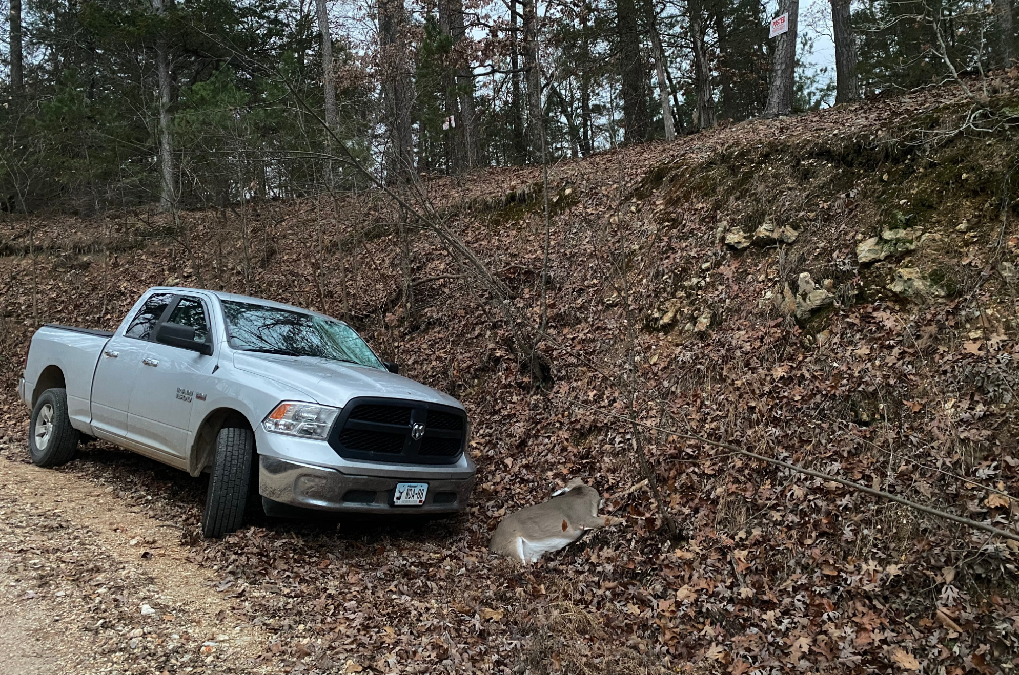 [Titre du site] Après avoir abattu un cerf, celui-ci a bondi sur mon camion et a brisé mon pare-brise