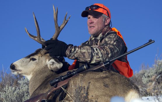 Saison des recrues : le premier cerf mulet de Brett Favre Saison des recrues : le premier cerf mulet de Brett Favre