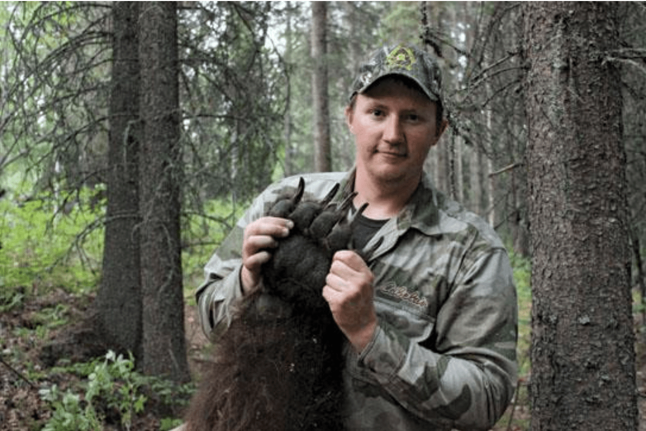 [Titre du site] J'ai abattu un grizzly intérieur monstrueux avec mon arc classique