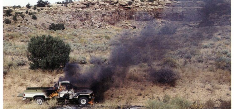 J'ai dessiné une incroyable étiquette de mouton. Cela s’est transformé en une chasse à l’enfer, avant même que notre camion ne prenne feu
