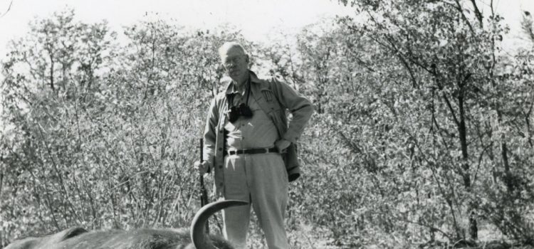 Accusé par un buffle du Cap qui refusait de mourir
