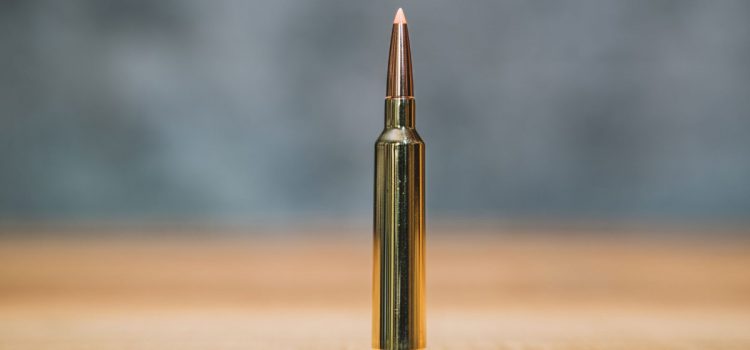 Weatherby lance un nouveau RPM 25 WBY : une cartouche haute performance de calibre 25 destinée aux balles modernes
