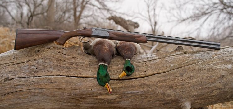 Test du Ruger Red Label III : ce dessus/dessous américain classique est de retour et meilleur que jamais
