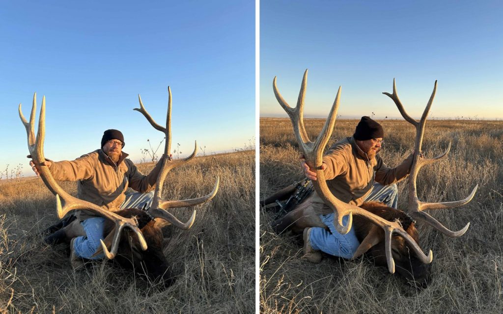 Après avoir enfin écouté My Buddy, My Bull est un nouveau record de l'État de l'Oklahoma