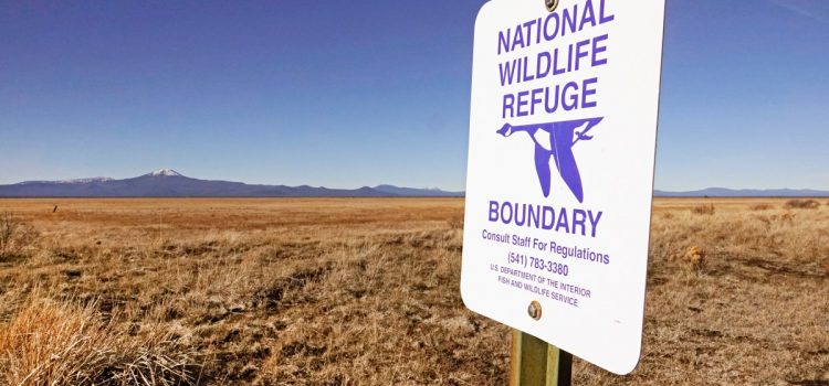 Le ministère de l'Intérieur envisage d'ouvrir toutes ses terres publiques à la chasse et à la pêche – à moins qu'elles ne soient spécifiquement fermées par les gestionnaires du site
