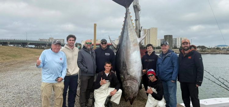 «La bouchée la plus étonnante que j'ai jamais eue.» Le thon Monster Bluefin bat le record d'État qui n'était détenu que quelques heures
