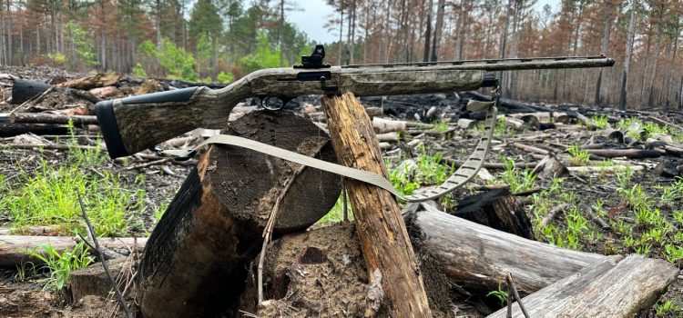 Les 25 meilleures offres d'armes de cette semaine : carabines, fusils de chasse à dinde, armes de poing et munitions
