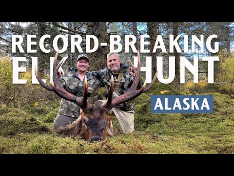 [Titre du site] J'ai voyagé en Alaska pour ma toute première chasse au wapiti et j'ai marqué un taureau record en attente le jour de l'ouverture