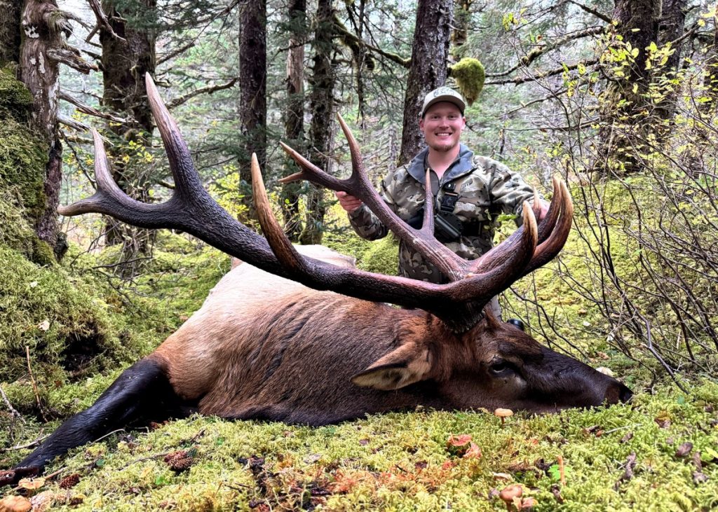 J'ai voyagé en Alaska pour ma toute première chasse au wapiti et j'ai marqué un taureau record en attente le jour de l'ouverture