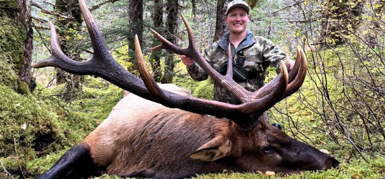 J'ai voyagé en Alaska pour ma toute première chasse au wapiti et j'ai marqué un taureau record en attente le jour de l'ouverture
