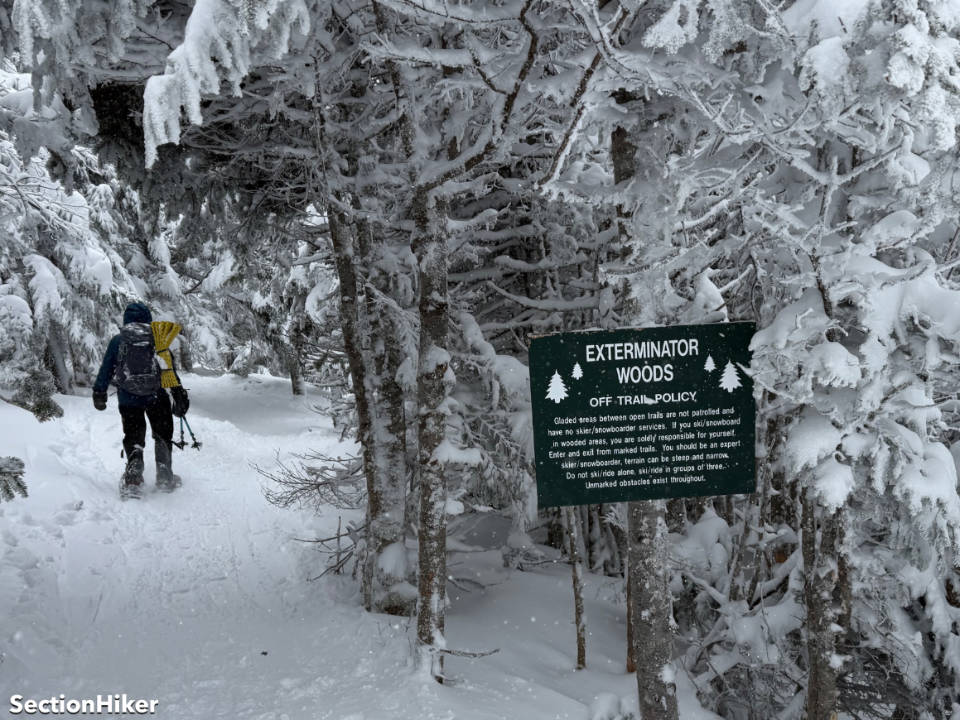 [Titre du site] Randonnée hivernale au mont Ellen en janvier