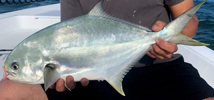 Podcast Quick Strike : Incendie de Pompano en Floride
