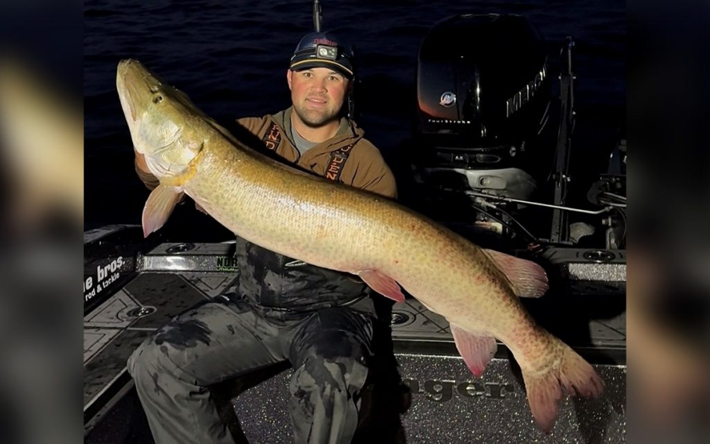 Le record de Muskie du Wisconsin a été battu 3 fois en 2025. Celui-ci a remporté la couronne