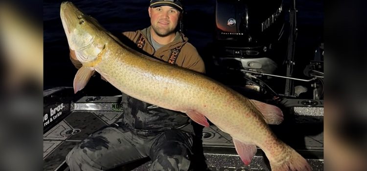 Le record de Muskie du Wisconsin a été battu 3 fois en 2025. Celui-ci a remporté la couronne
